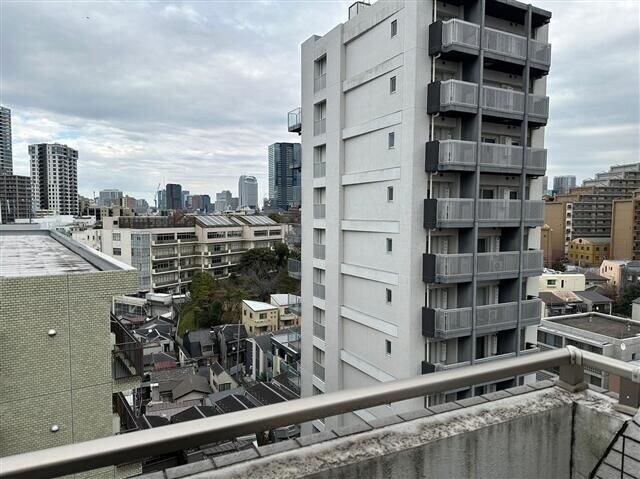 白金高輪駅 徒歩4分 11階の物件内観写真