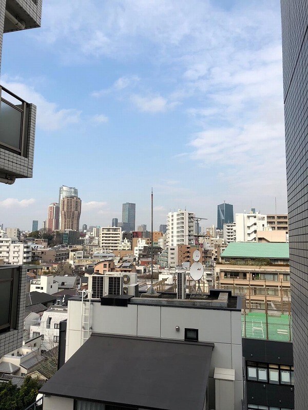 白金高輪駅 徒歩5分 9階の物件内観写真