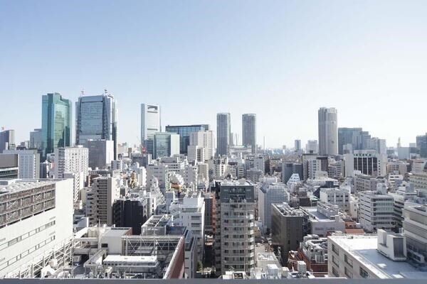 御成門駅 徒歩4分 18階の物件内観写真