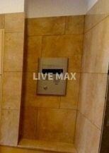 立会川駅 徒歩7分 2階の物件内観写真