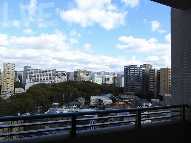 渡辺通駅 徒歩12分 13階の物件内観写真
