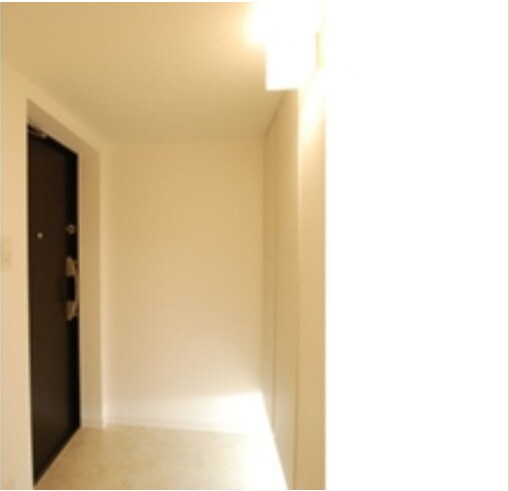 パークウッドレジデンス日本橋の物件内観写真