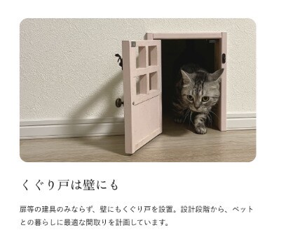 quador Contigo 高宮の物件内観写真