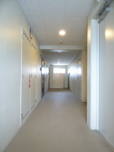 呉服町駅 徒歩5分 15階の物件内観写真