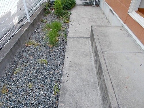 シエル・ソーレの物件内観写真