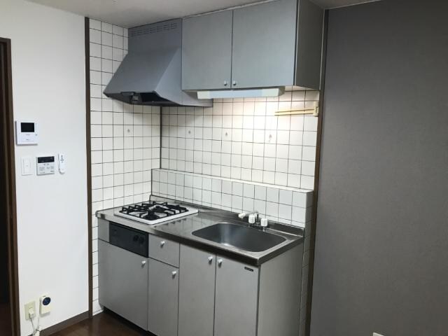 ラフィーヌ上野田の物件内観写真