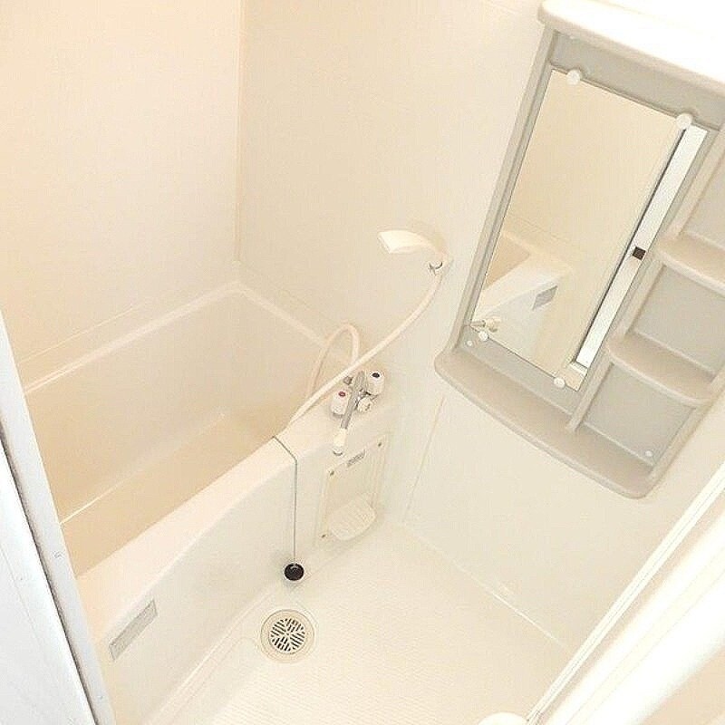 天満駅 徒歩4分 5階の物件内観写真