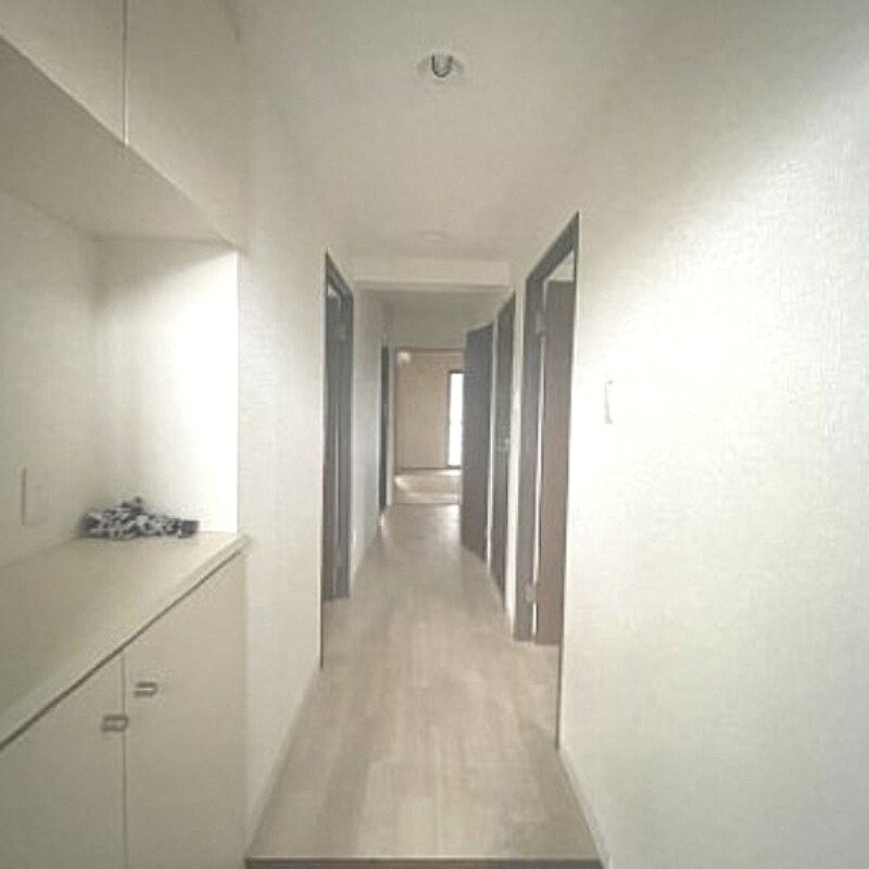 光善寺駅 徒歩7分 2階の物件内観写真