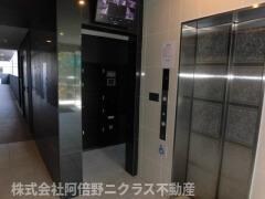 グランパシフィック花園Luxeの物件内観写真