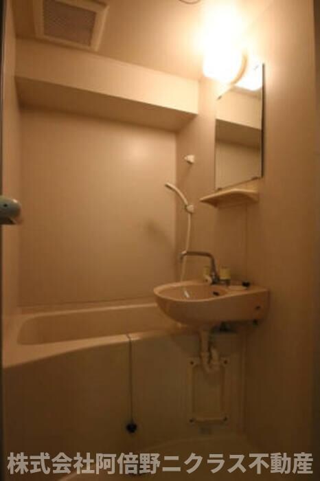 ロイヤルカーサ阿倍野の物件内観写真