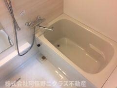 セイワパレス天王寺真田山の物件内観写真