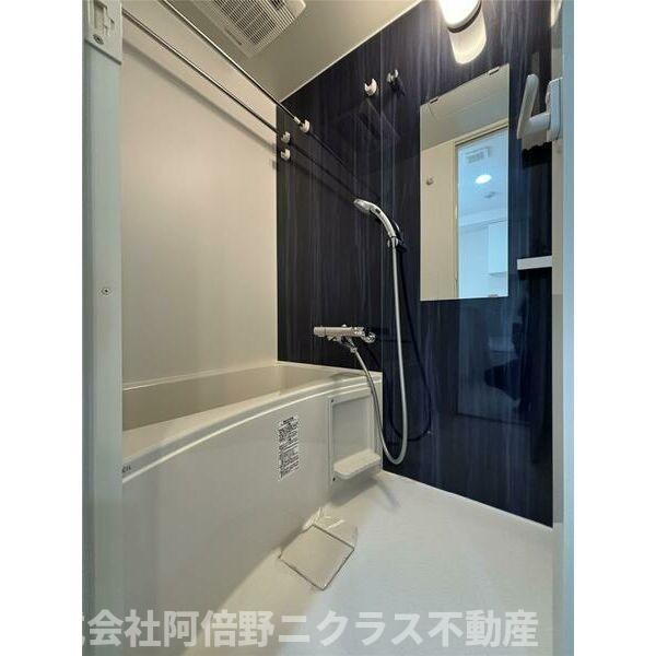 Live Casa 田辺の物件内観写真