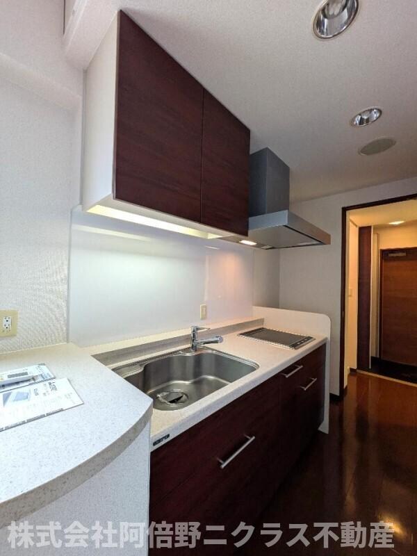 コンソラーレ上町台Ⅱの物件内観写真