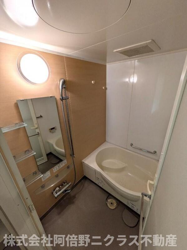 コンソラーレ上町台Ⅱの物件内観写真