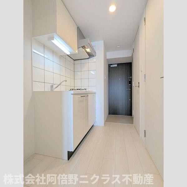 エスリード長居公園PARK AVENUEの物件内観写真