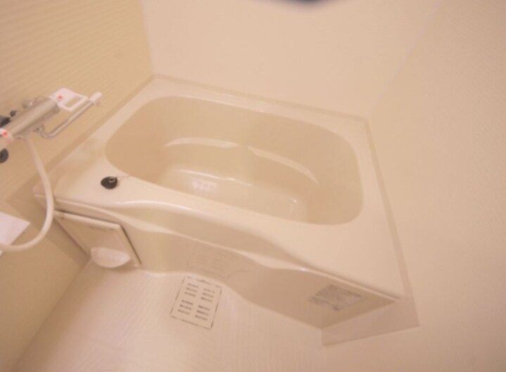 ディクス大阪城EASTレジデンスの物件内観写真