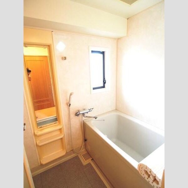 土居駅 徒歩5分 7階の物件内観写真