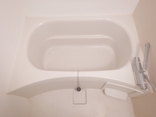 土居駅 徒歩5分 2階の物件内観写真