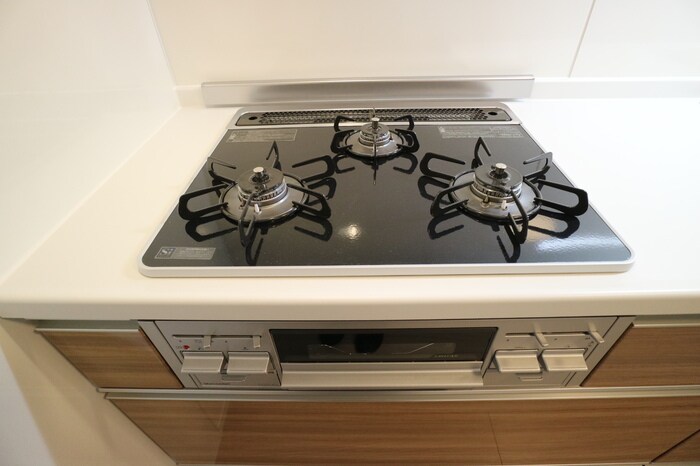 千林大宮駅 徒歩12分 2階の物件内観写真