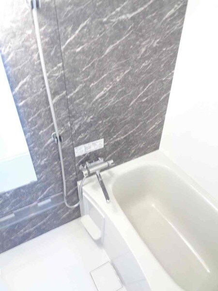 ラフィスタ横浜黄金町の物件内観写真