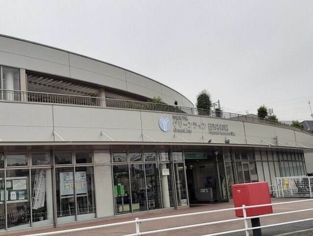 Ｓｔｅｌｌａ日吉の物件外観写真