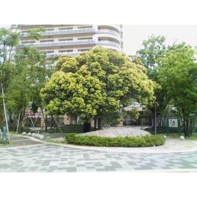 パークシティ武蔵小杉　ミッドスカイタワーの物件内観写真