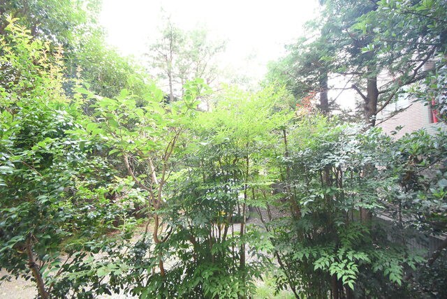 ポーラスターの物件内観写真