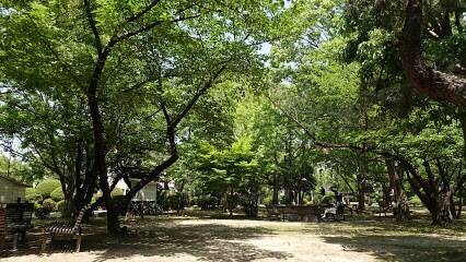 REVE甲東園2の物件内観写真