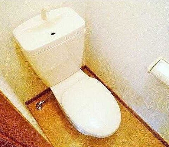 代田橋駅 徒歩4分 1階の物件内観写真