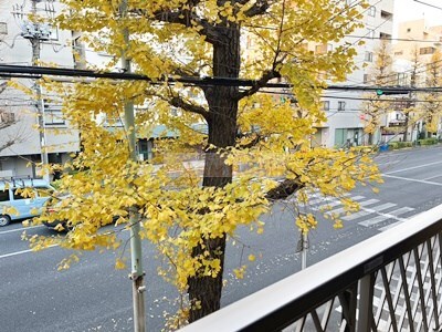 荻窪駅 徒歩9分 2階の物件内観写真