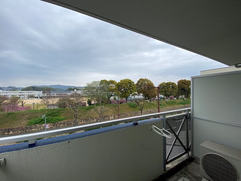 メゾンデール本町の物件内観写真