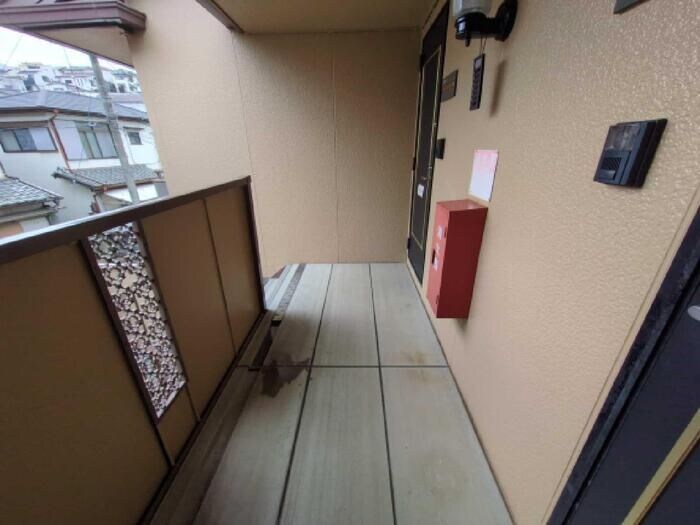 マイルドコートの物件内観写真