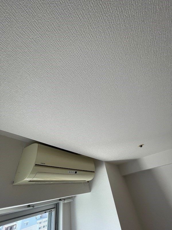 オリエンタル江坂の物件内観写真