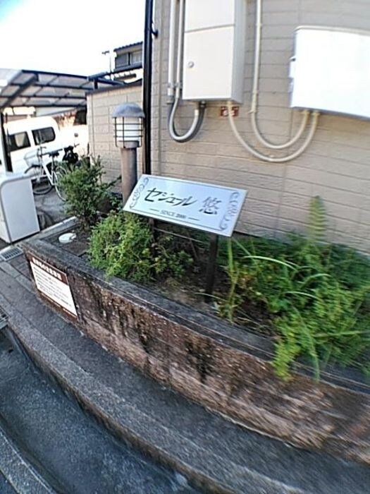 柴原阪大前駅 徒歩15分 1階の物件内観写真