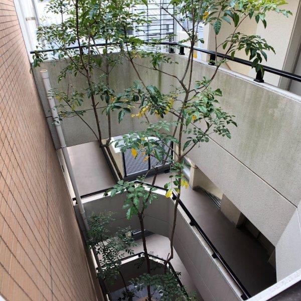 AQUA CORTEの物件内観写真