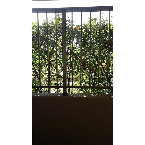 ブルーム江坂の物件内観写真