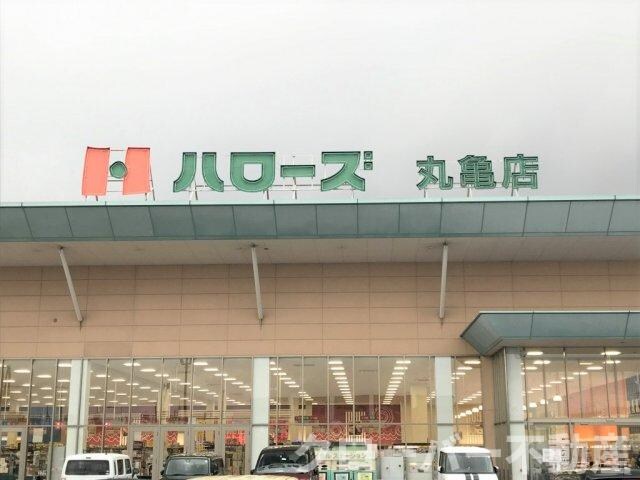 レオパレスＳｕｃｃｅｓｓの物件外観写真