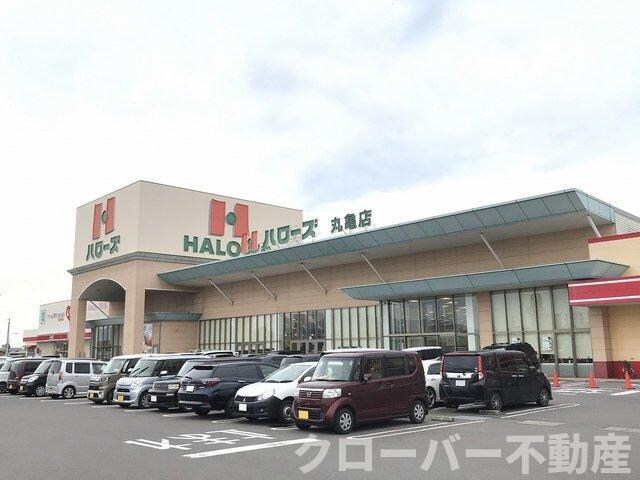 ハイツ　ＨＡＹＡＳＨＩ　１の物件内観写真