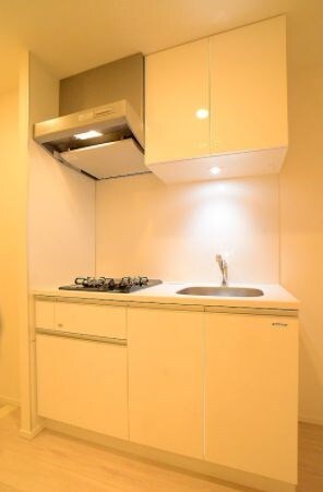 ステージグランデ錦糸町Ⅱの物件内観写真