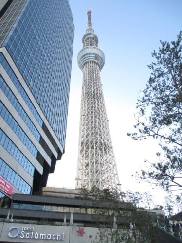 メゾン・ド・マルグリットの物件内観写真