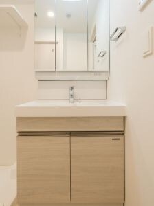 コンフォリア・リヴ豊洲キャナルの物件内観写真