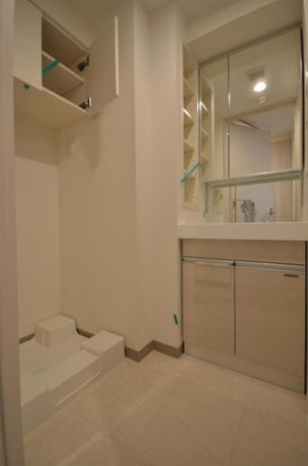 豊洲駅 徒歩8分 2階の物件内観写真