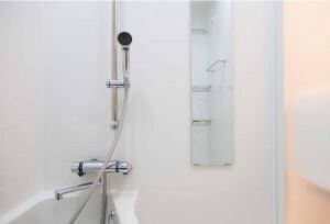 コンフォリア錦糸町ＤＥＵＸの物件内観写真