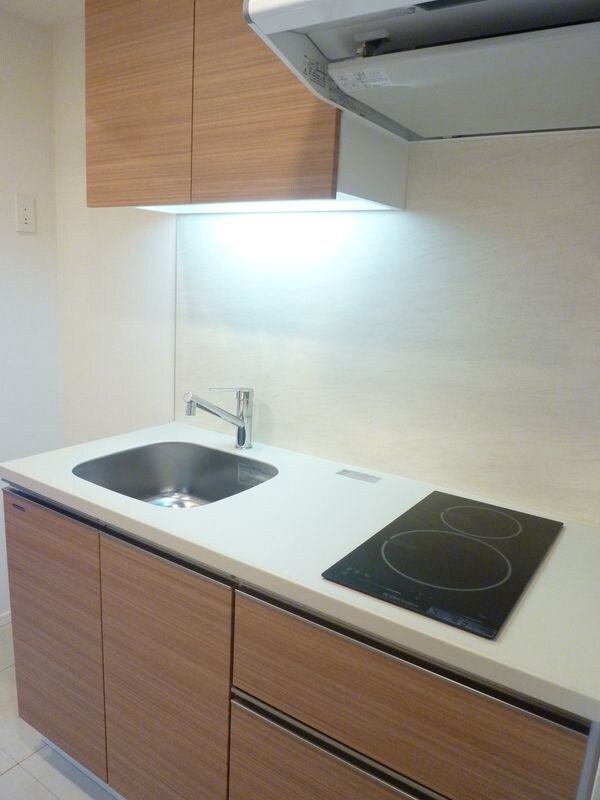 カーサスプレンディッド赤坂7丁目の物件内観写真