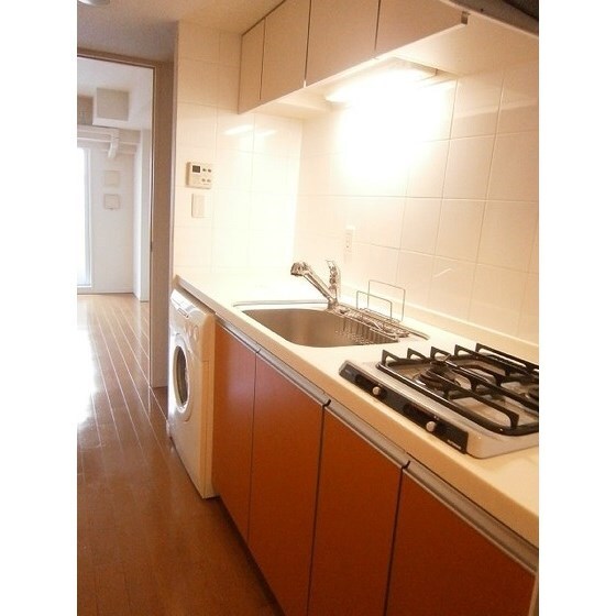 グランスイート銀座レスティモナークの物件内観写真