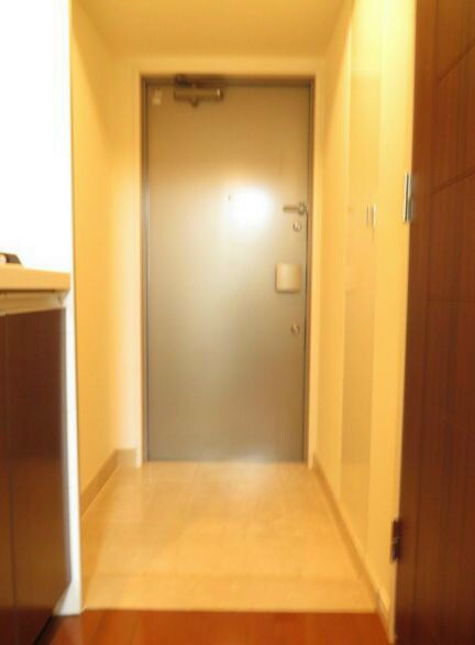 グランスイート銀座レスティモナークの物件内観写真