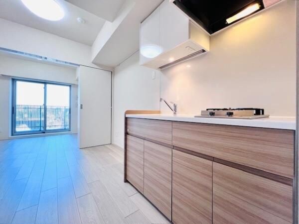 Brillia ist 両国の物件内観写真