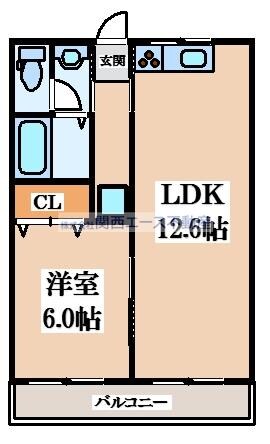 ルシエルの物件間取画像