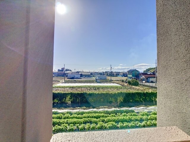 本巣駅 徒歩43分 2階の物件内観写真