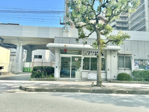 河内小阪駅 徒歩11分 3階の物件内観写真